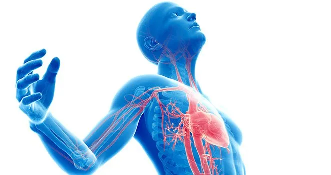 How Hypertension Affects Your Body Beyond the Heart