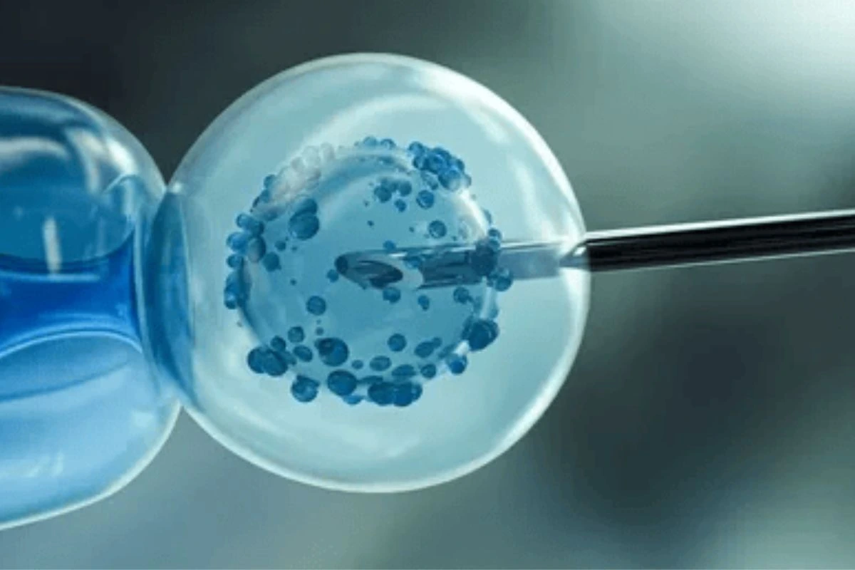 The Effects of IVF on Your Body