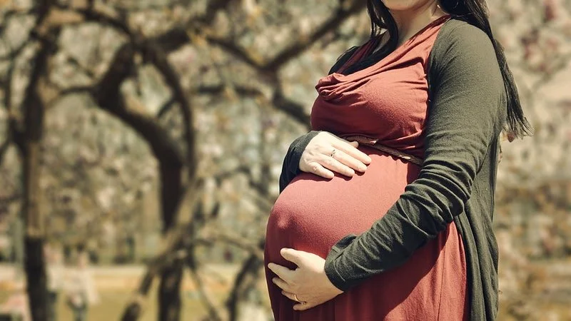 The Impact of Pregnancy on Long-term Women's Health