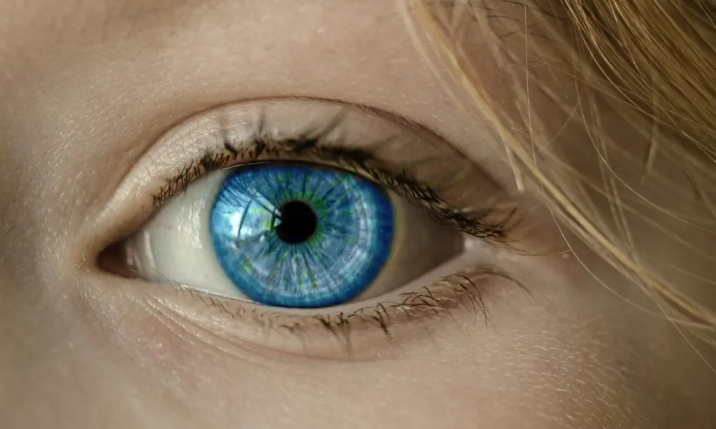 How Do Ophthalmologists Detect Eye Diseases Early?