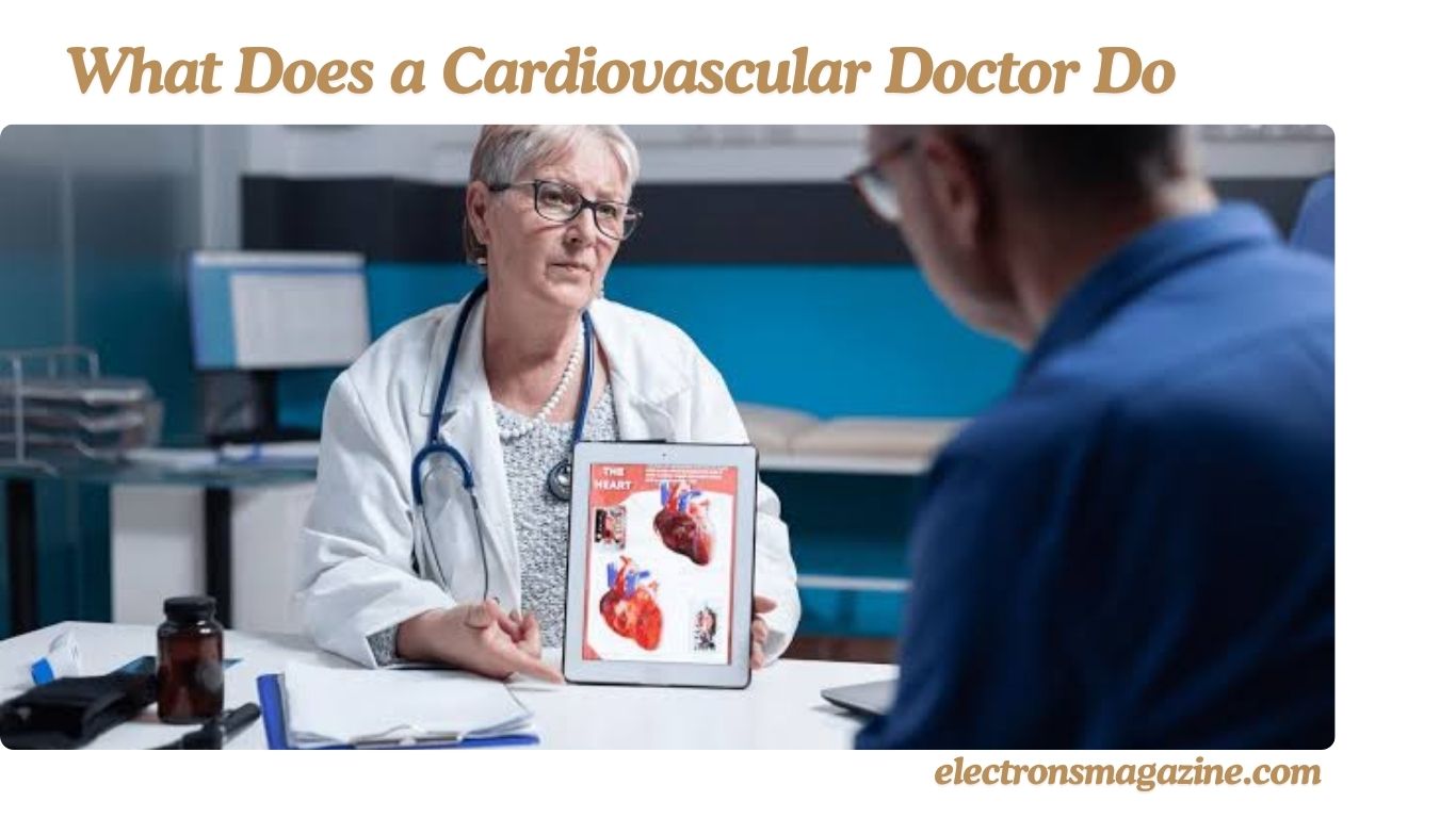 What Does a Cardiovascular Doctor Do