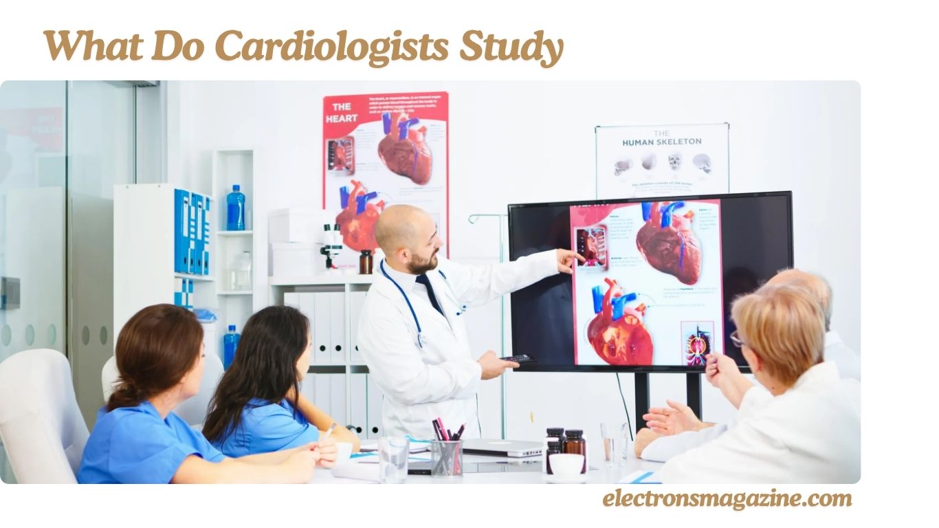 What Do Cardiologists Study?